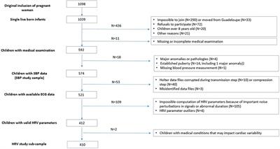 Blood Pressure, Heart Rate Variability, and Adiposity in Caribbean Pre-pubertal Children